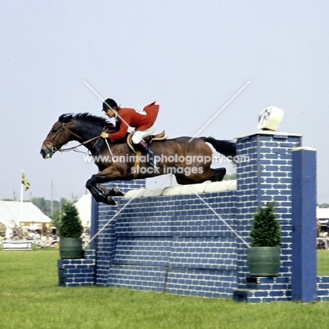 show jumping, 3 counties show ‘75