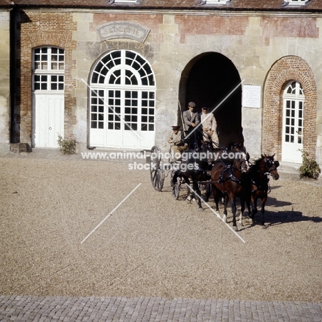 team of horses  with carriage in france
