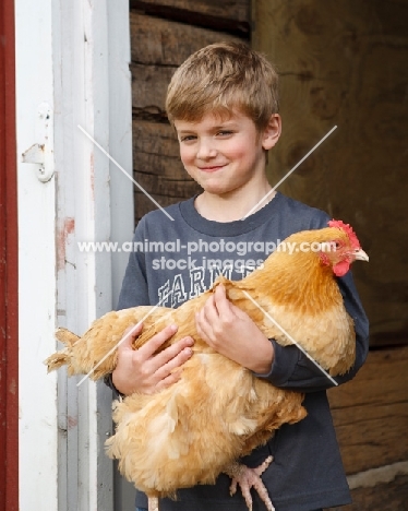 boy with Buff Orpington chicken
