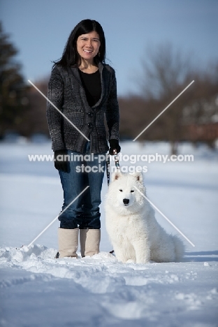 Samoyed dog with woman in winter