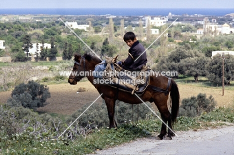 child riding working skyros pony on skyros island, greece