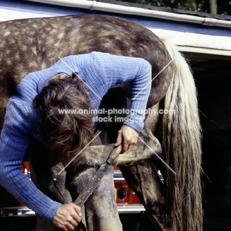 farrier filing horse's hoof