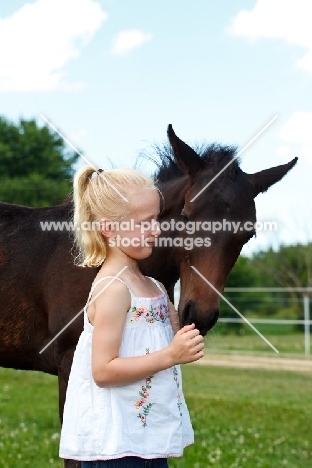 Appaloosa with girl