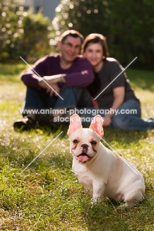 man and woman with young French Bulldog