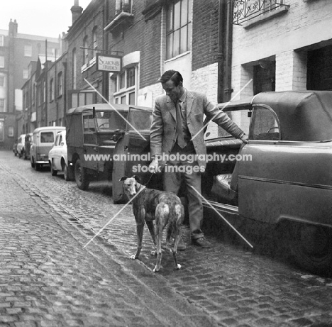 man with a greyhound in a cobbled street