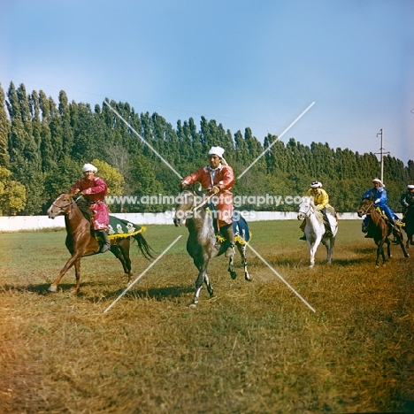 group of karabair horses and riders galloping, colour fade in picture