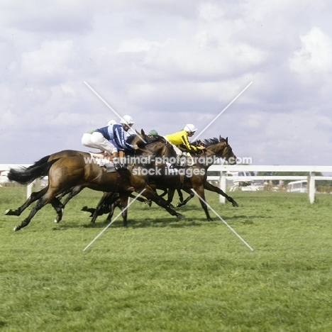 racing at epsom
