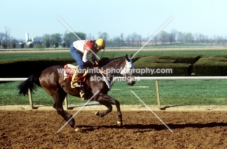 exercising at keeneland