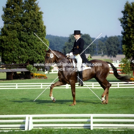 3 day event dressage at luhmuhlen, 