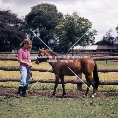 maroun caspian pony stallion with owner elizabeth alderson
