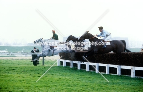 racing over fences at windsor