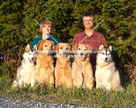 Golden Retrievers and Siberian Huskies with their proud owners