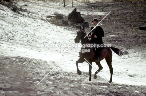 rider in landscape