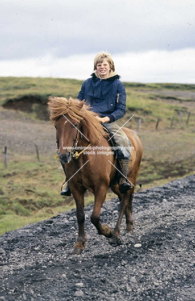 Rider on Iceland horse