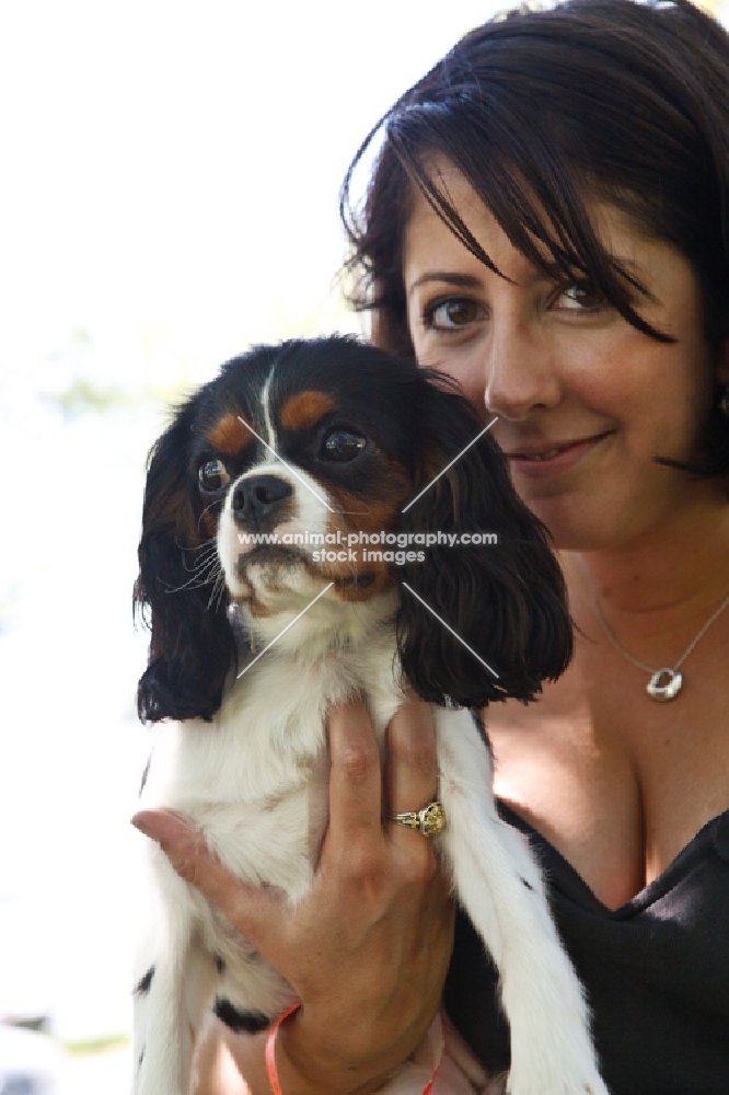 Cavalier King Charles Spaniel with woman