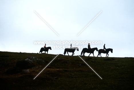 trekking on dartmoor