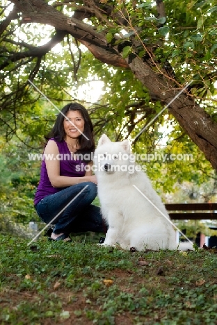Samoyed dog with woman