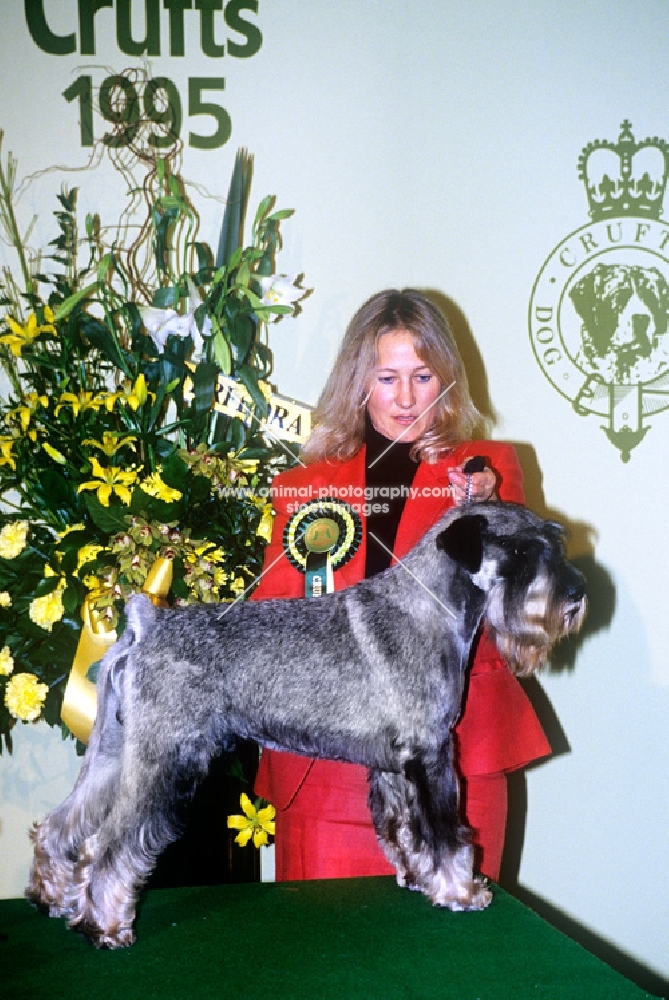 ch khinjan american express with sarah hattrell-brown after winning the utility group crufts 1995