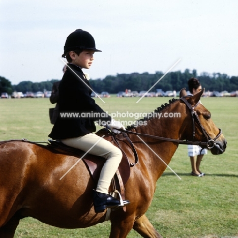 boy riding a Caspian Pony 