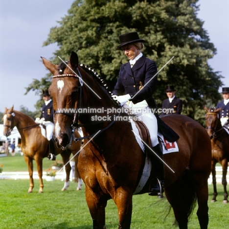 christine stuckelberger riding  granat at goodwood, european champion '75 and '77
