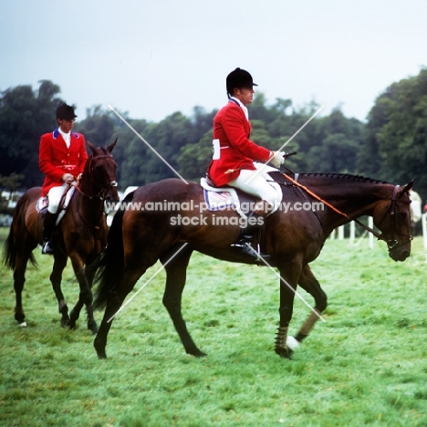 horse and rider at international trials burley