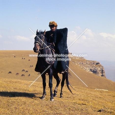 Kabardine horse ridden by cossack in Caucasus mountains, wearing traditional clothes