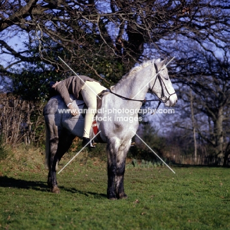 exercises on horseback, pony with blanket clip