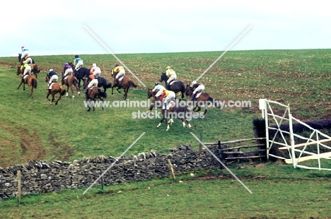 horses running in heythrop hunt point to point, 1977