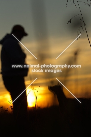 Thailand Ridgeback with owner in sunset