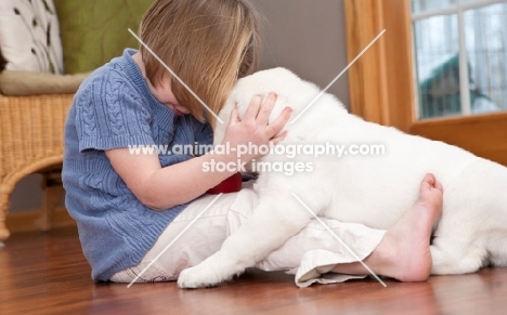 girl kissing Labrador puppy