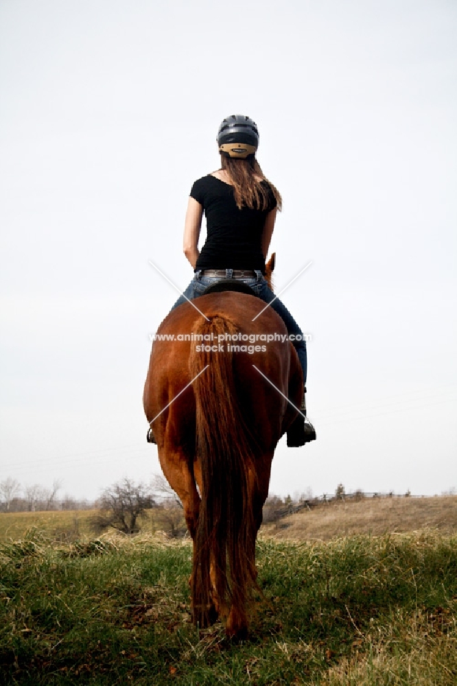 back view of girl riding Thoroughbred