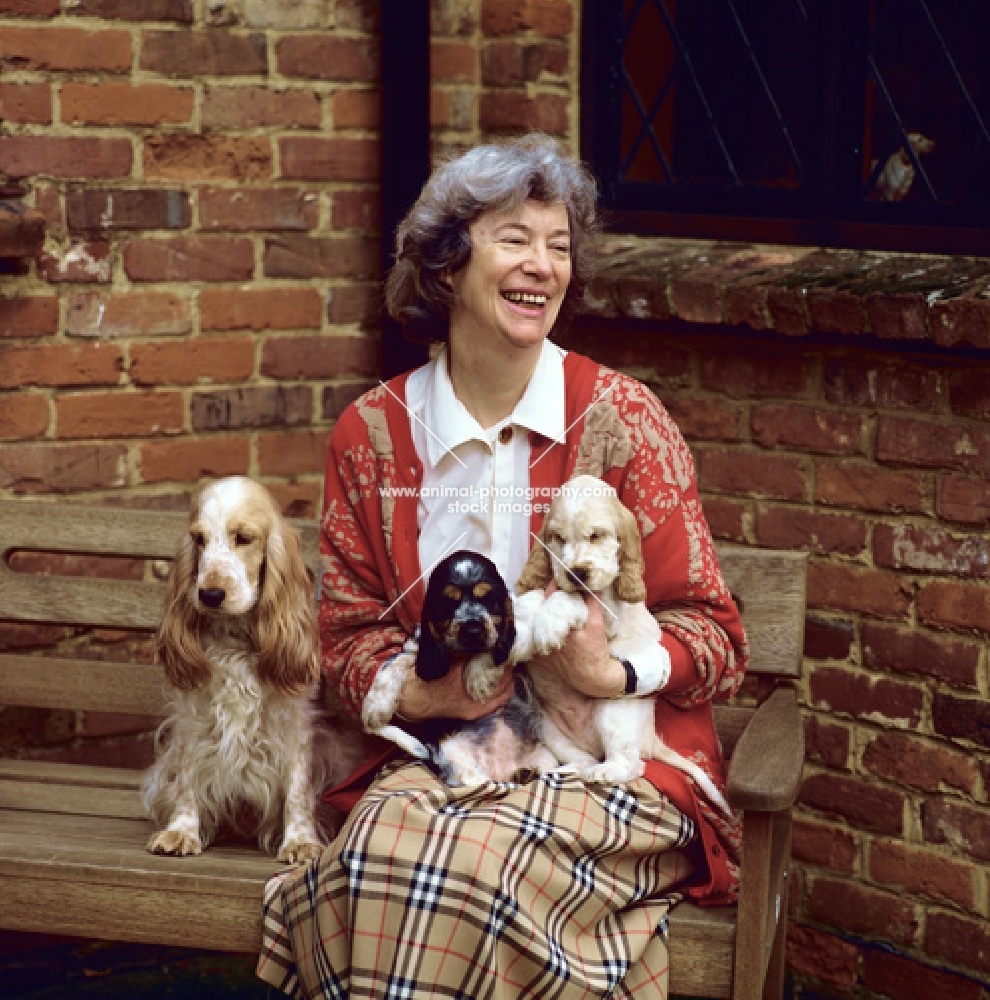 lesley scott-ordish with her cocker spaniel and undocked puppies