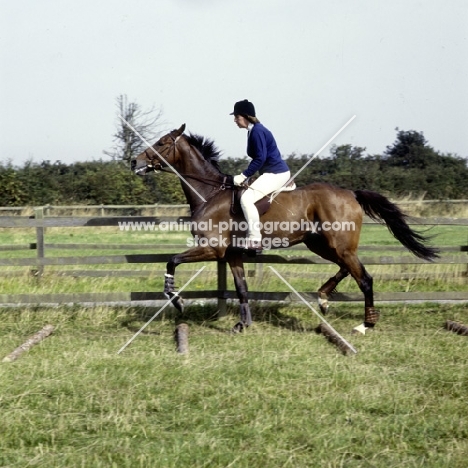 training, trotting over poles