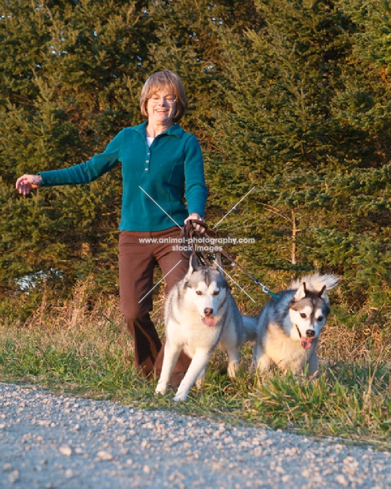 woman walking her two Huskies