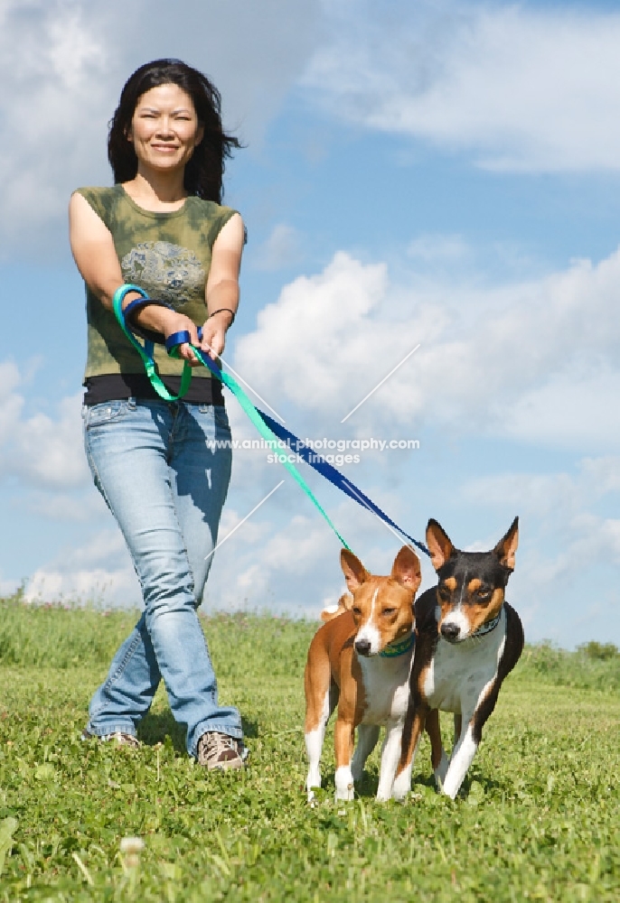 woman walking two basenjis