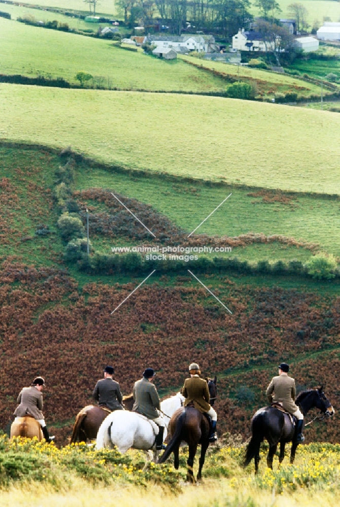 fox hunting on exmoor, horses and riders on hillside
