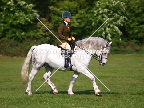 Riding Connemara Pony