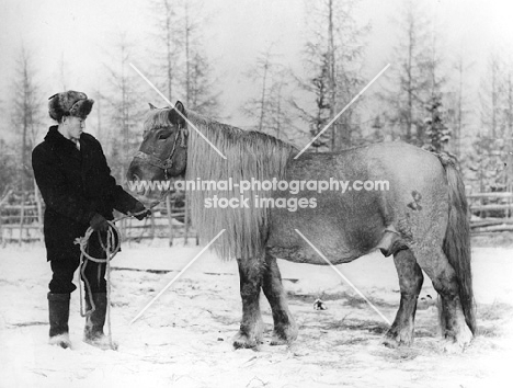 Yakut horse photograph Barmintsev