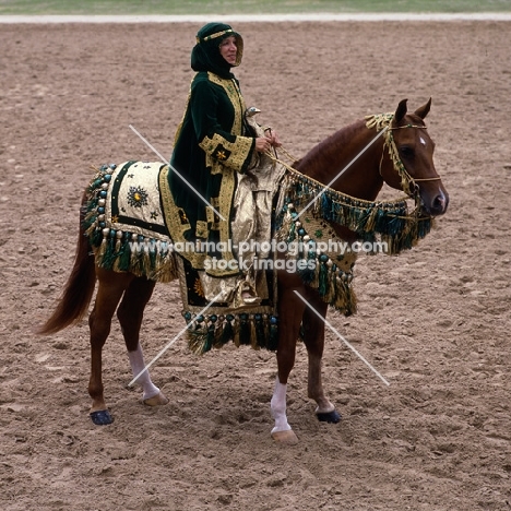 Arab USA, rider in native costume