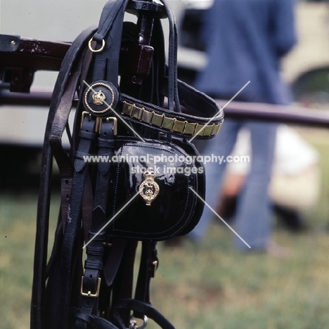 The bridle of one of the Duke of Edinburgh's carriage horses
