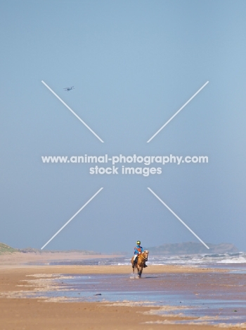 horse riding on beach