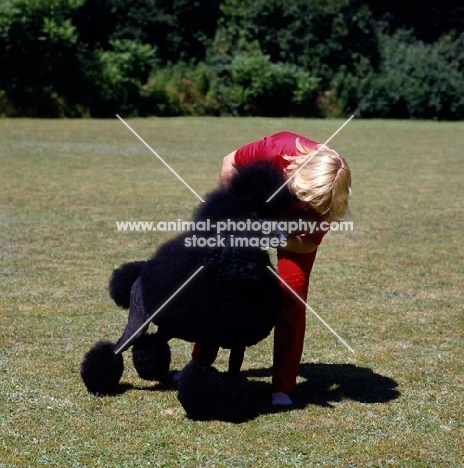 marita rogers posing ch montravia tommy gun standard poodle, for photography