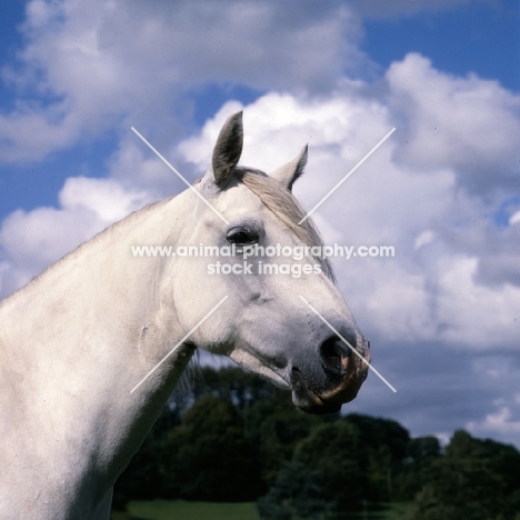 Connemara head, low angle shot 