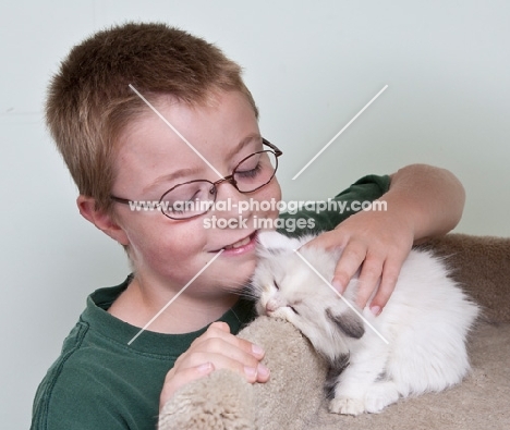 boy with sleeping Ragdoll kitten