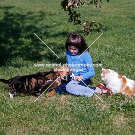 child with a lurcher and two cats