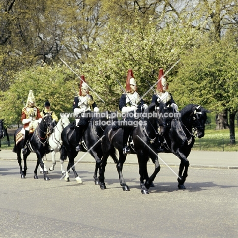 household cavalry leaving barracks, hyde park, 1976