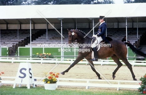 dressage, uwe sauer riding hirtentraum at goodwood