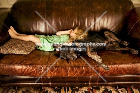 girl and dog asleep on a couch