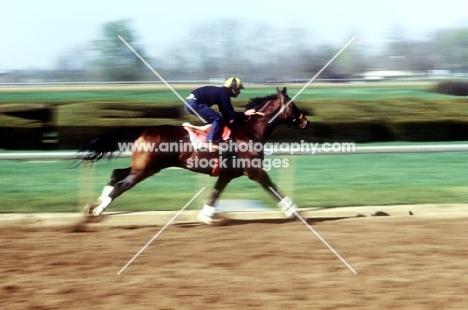 exercising at keeneland