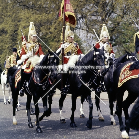 household cavalry leaving barracks 1976